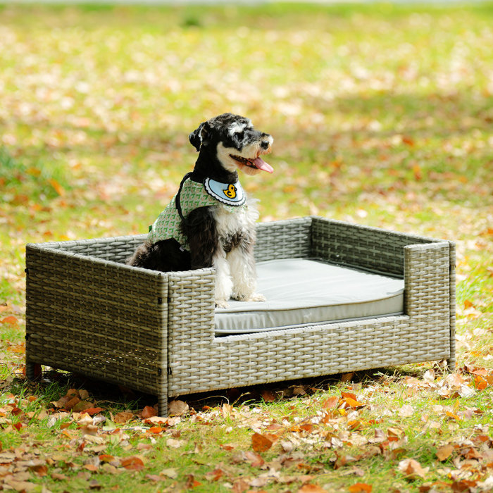 Tucker Murphy Pet™ Seasonal PE Wicker Dog Bed Wayfair